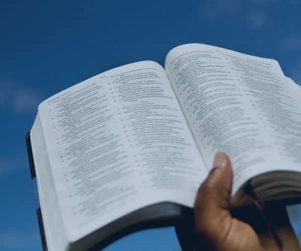 A Vida Contemplativa