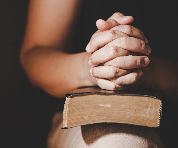 A Vida Contemplativa