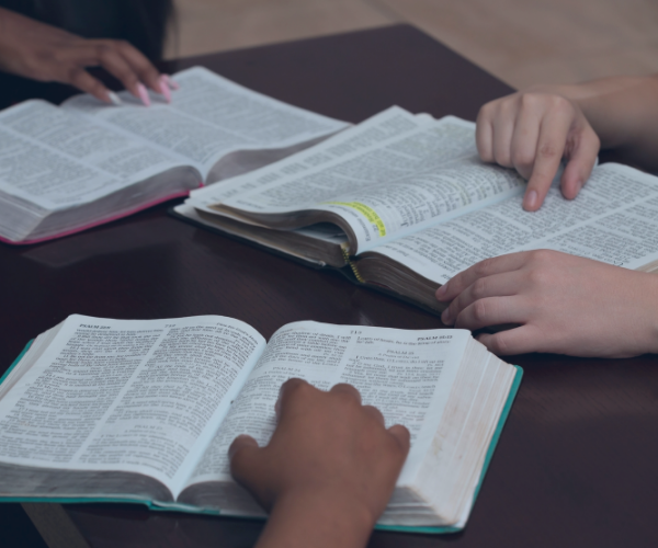 (Com) Partilhando Experiências